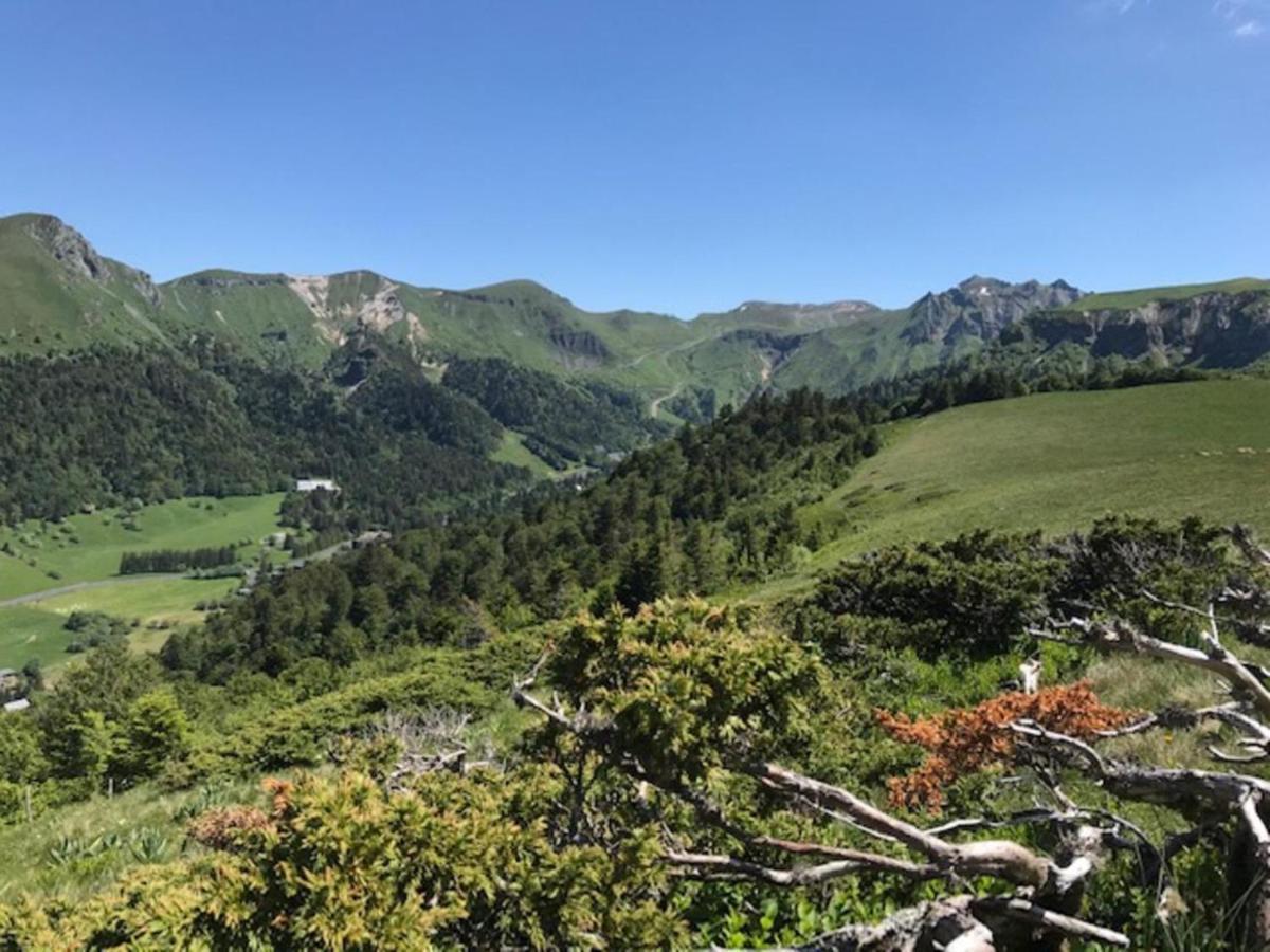 Appartement Mont-Dore, 3 pièces, 6 personnes - FR-1-608-26 Extérieur photo